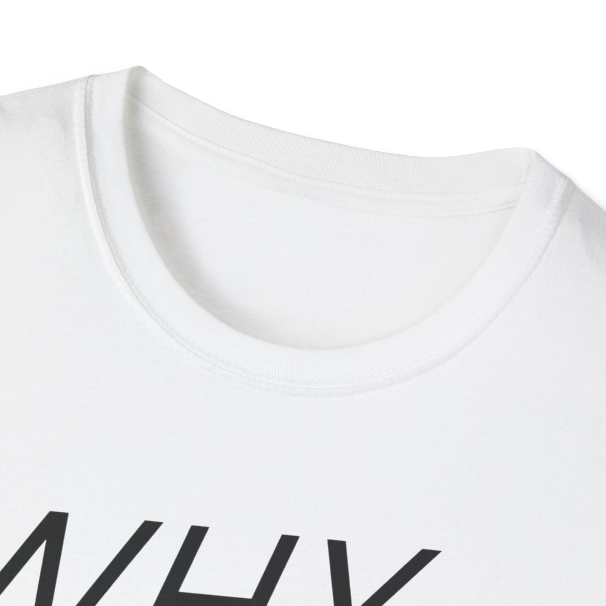 Why Blend In? T-Shirt