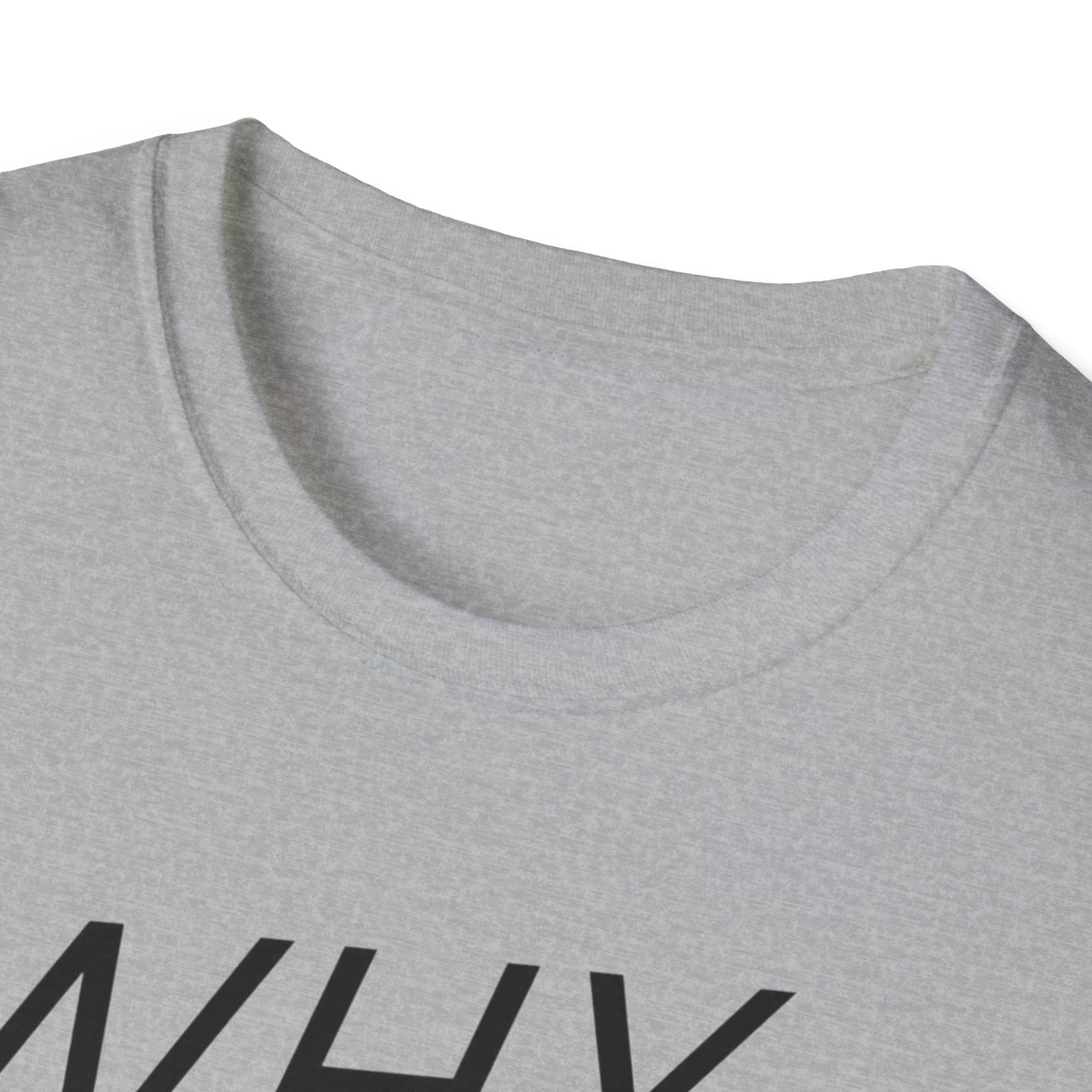 Why Blend In? T-Shirt