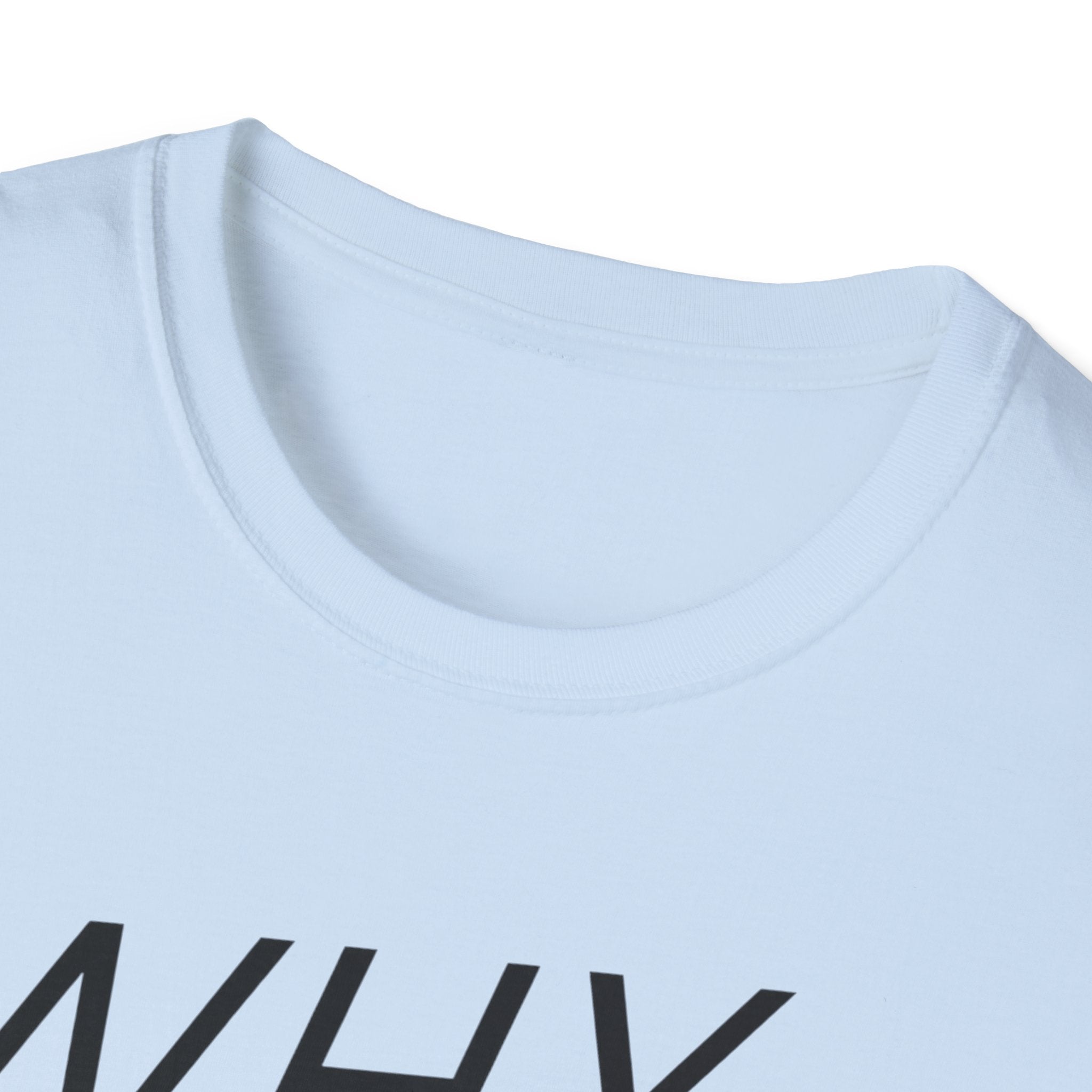 Why Blend In? T-Shirt