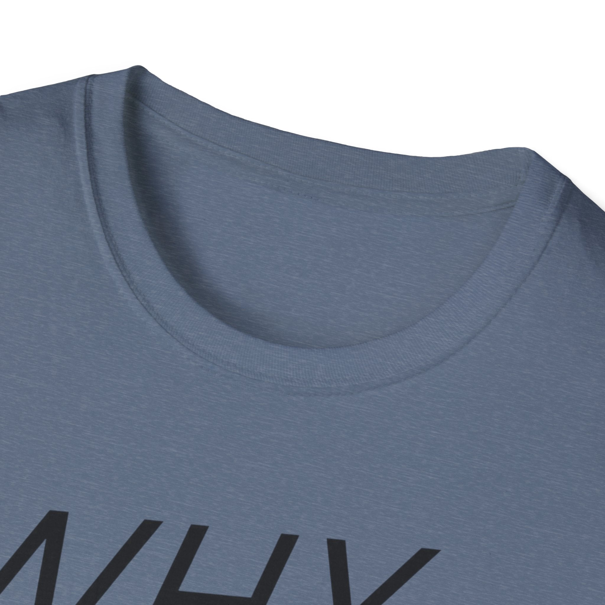 Why Blend In? T-Shirt