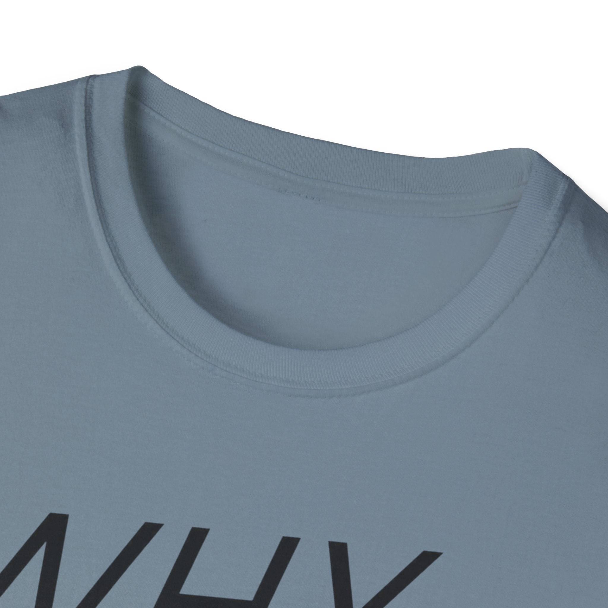 Why Blend In? T-Shirt