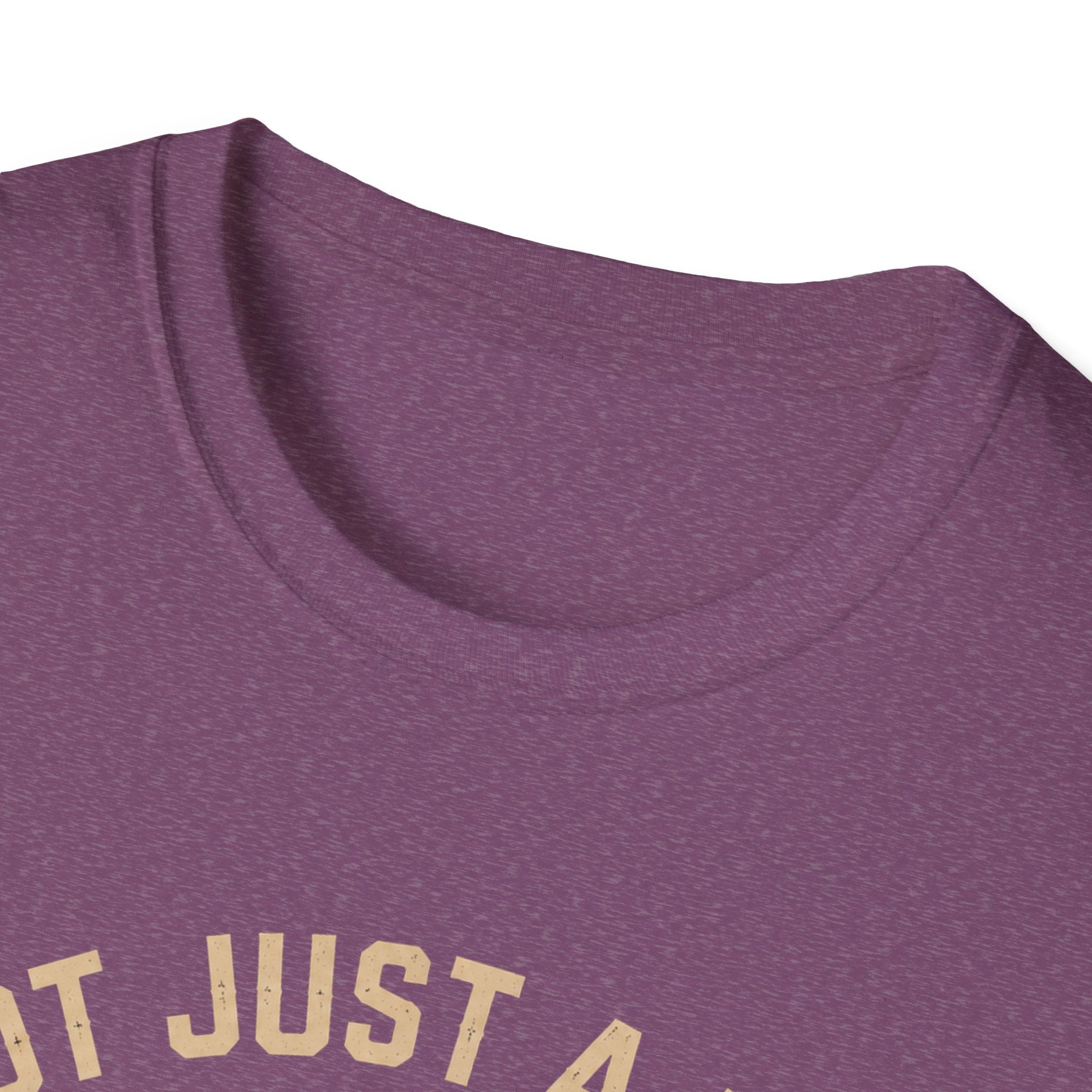 Not Just A Ride Its A Lifestyle T-Shirt