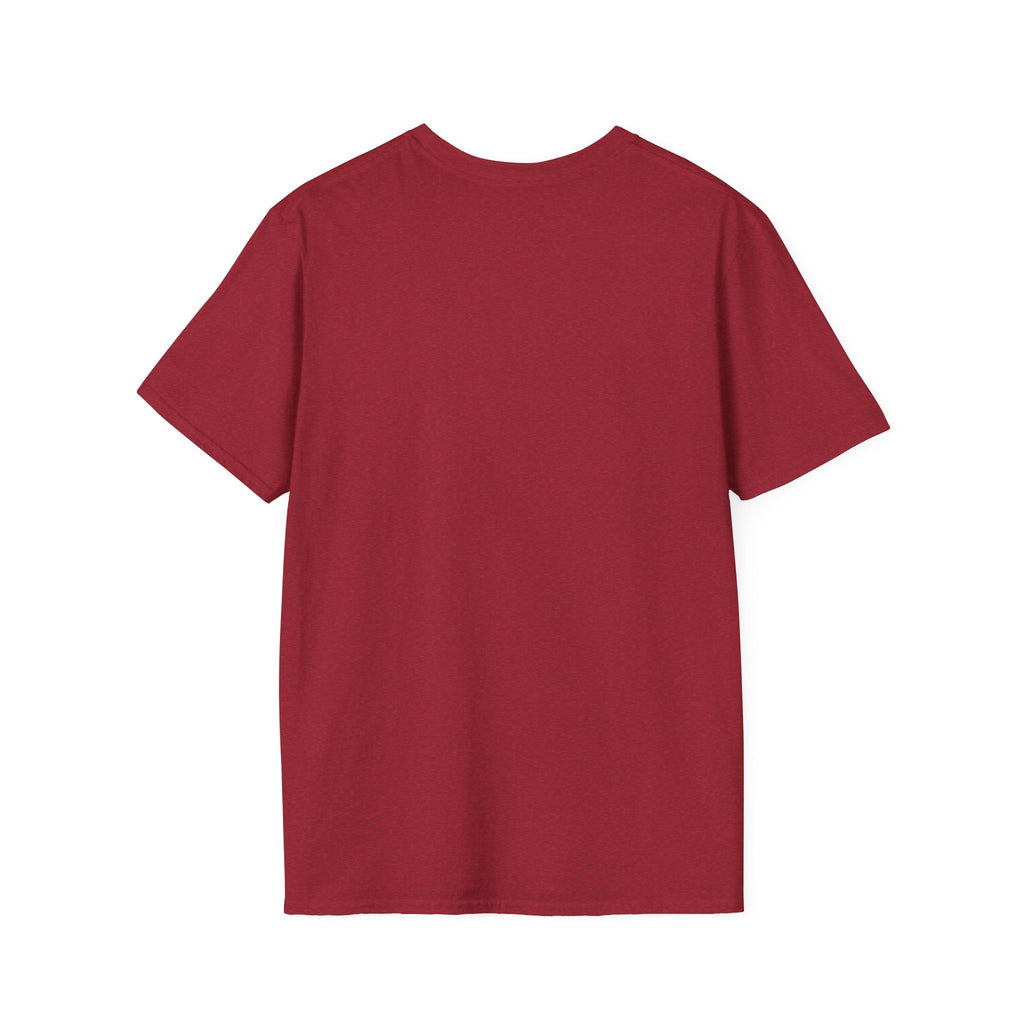 I Didn't Downgrade I Upgraded T-Shirt