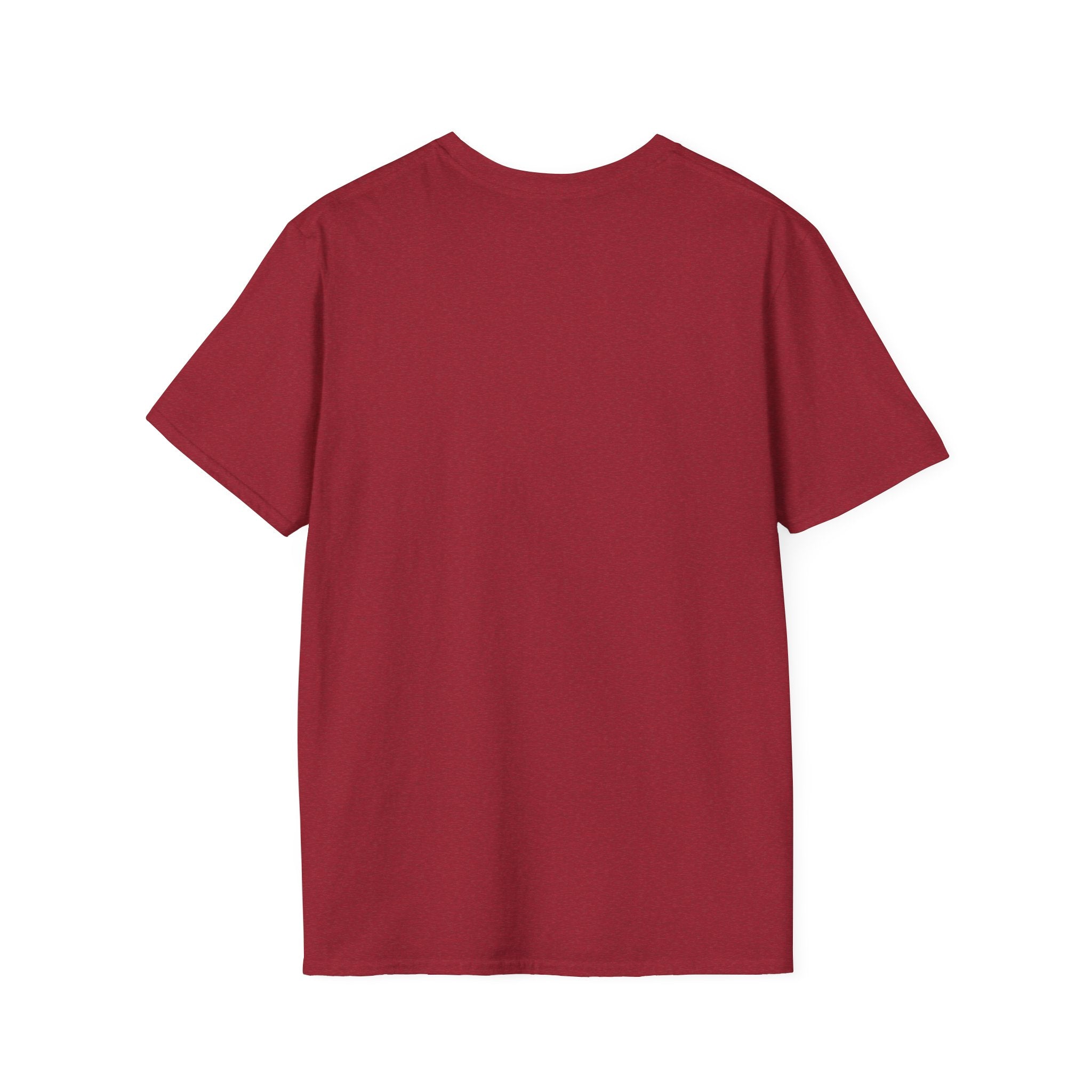 I Didn't Downgrade I Upgraded T-Shirt